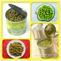 Top quality canned green peas